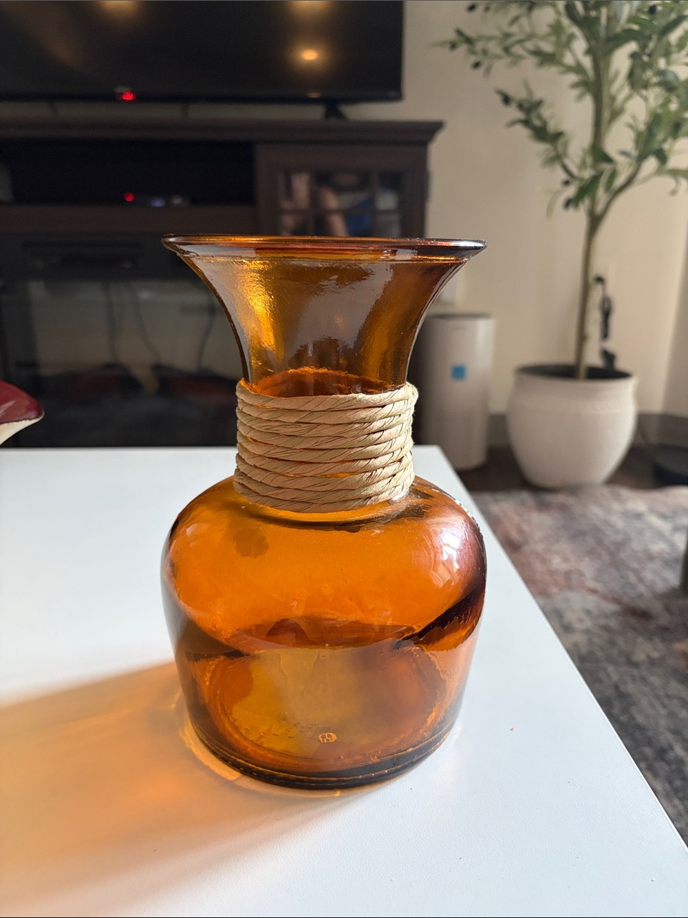 Home Accents Amber Glass Vase with Twine Accent